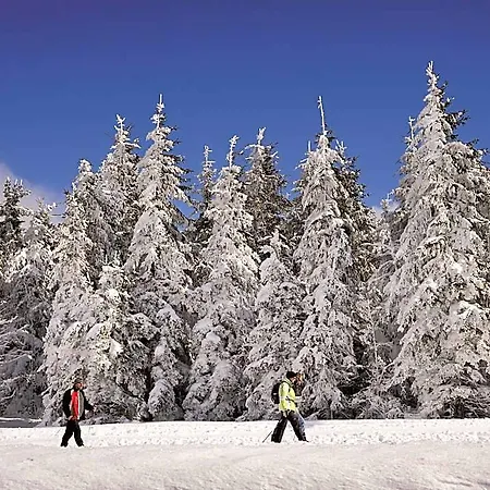 Nature Titisee - Easy.life.hotel. 4*